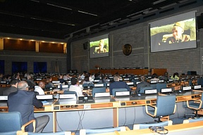 Celebration of the Victory Day in the Great Patriotic War at the United Nations Office at Nairobi 